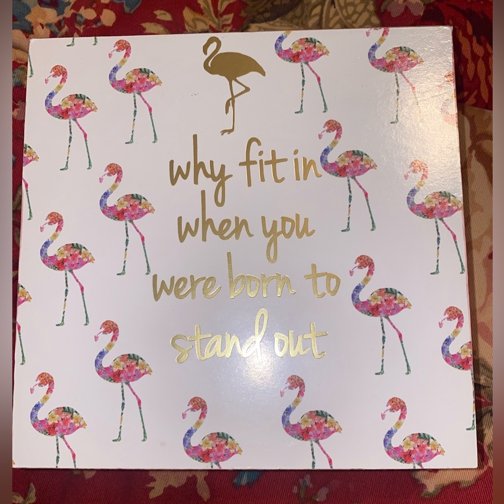 Flamingo Picture